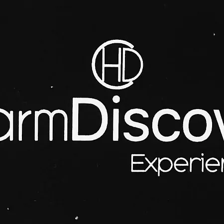 公寓 Charm Discovery Aurea 71 Lisboa